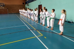 Konsultacje_WZKT_KKT_Orzel_2020_2
