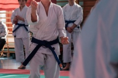 DSCF1123_2048xXXXX_950kb