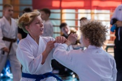 DSCF1173_2048xXXXX_950kb