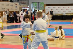 VI_Otwarte_Mistrzostwa_Wielkopolski_w_Karate_Tradycyjnym_2025-110-of-152