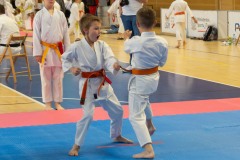 VI_Otwarte_Mistrzostwa_Wielkopolski_w_Karate_Tradycyjnym_2025-111-of-152
