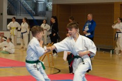 VI_Otwarte_Mistrzostwa_Wielkopolski_w_Karate_Tradycyjnym_2025-115-of-152