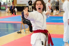 VI_Otwarte_Mistrzostwa_Wielkopolski_w_Karate_Tradycyjnym_2025-130-of-152