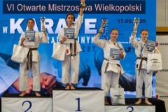 VI_Otwarte_Mistrzostwa_Wielkopolski_w_Karate_Tradycyjnym_2025-136-of-152