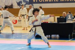 VI_Otwarte_Mistrzostwa_Wielkopolski_w_Karate_Tradycyjnym_2025-17-of-152