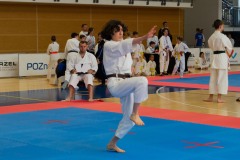 VI_Otwarte_Mistrzostwa_Wielkopolski_w_Karate_Tradycyjnym_2025-18-of-152