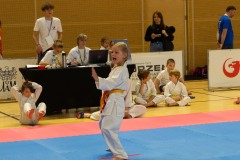 VI_Otwarte_Mistrzostwa_Wielkopolski_w_Karate_Tradycyjnym_2025-64-of-152