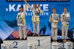 VI_Otwarte_Mistrzostwa_Wielkopolski_w_Karate_Tradycyjnym_2025-84-of-152