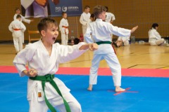 VI_Otwarte_Mistrzostwa_Wielkopolski_w_Karate_Tradycyjnym_2025-91-of-152