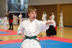 VI_Otwarte_Mistrzostwa_Wielkopolski_w_Karate_Tradycyjnym_2025-92-of-152