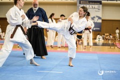 208-POZNAN-Karate-Orzel-208