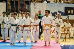29-DSC07504