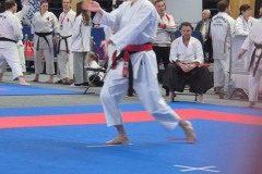 X_Mistrzostwa_Swiata_w_Karate_Fudokan_Pulawy-10-of-15