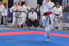 X_Mistrzostwa_Swiata_w_Karate_Fudokan_Pulawy-14-of-15