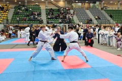 XII_Ogolnopolski_Turniej_Sztuk_Walki_Zielona_Gora-11