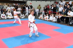 XII_Ogolnopolski_Turniej_Sztuk_Walki_Zielona_Gora-20