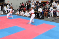 XII_Ogolnopolski_Turniej_Sztuk_Walki_Zielona_Gora-28