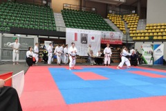 XII_Ogolnopolski_Turniej_Sztuk_Walki_Zielona_Gora-33
