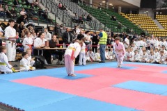 XII_Ogolnopolski_Turniej_Sztuk_Walki_Zielona_Gora-34