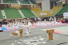 XII_Ogolnopolski_Turniej_Sztuk_Walki_Zielona_Gora-4
