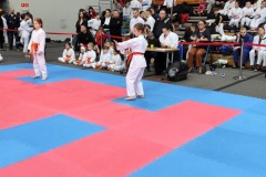 XII_Ogolnopolski_Turniej_Sztuk_Walki_Zielona_Gora-6