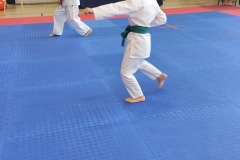 XXII_Ogolnopolski_Turniej_Karate_Tradycyjnego_Dzieci_i_Mlodziezy_2025-8 XXII_Ogolnopolski_Turniej_Karate_Tradycyjnego_Dzieci_i_Mlodziezy_2025-8