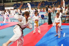 XXV_Ogolnopolski_Puchar_Dzieci_w_Karate_Tradycyjnym_Torun_2025_-121