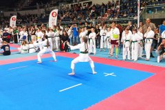 XXV_Ogolnopolski_Puchar_Dzieci_w_Karate_Tradycyjnym_Torun_2025_-16