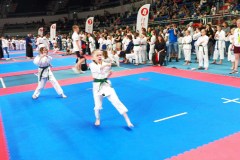 XXV_Ogolnopolski_Puchar_Dzieci_w_Karate_Tradycyjnym_Torun_2025_-18