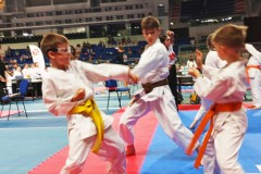 XXV_Ogolnopolski_Puchar_Dzieci_w_Karate_Tradycyjnym_Torun_2025_-36