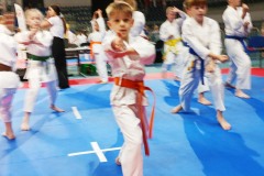 XXV_Ogolnopolski_Puchar_Dzieci_w_Karate_Tradycyjnym_Torun_2025_-65