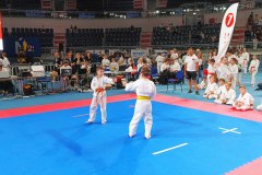 XXV_Ogolnopolski_Puchar_Dzieci_w_Karate_Tradycyjnym_Torun_2025_-70