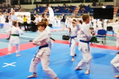 XXV_Ogolnopolski_Puchar_Dzieci_w_Karate_Tradycyjnym_Torun_2025_-76