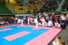 Zielona_Gora_2024-11