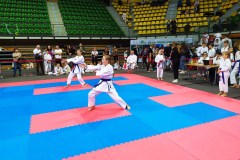 Zielona_Gora_2024-16