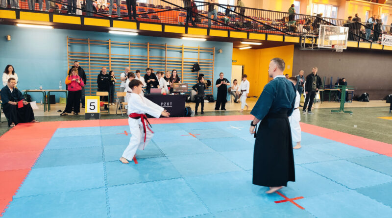 Qi Karate Cup